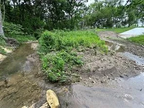 a view of a yard with basketball court