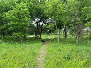 Lot 3 Ranchside Court Itasca, TX 76055 - Photo 9 of 22 a view of backyard with green space