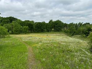 Lot 3 Ranchside Court Itasca, TX 76055 - Photo 10 of 22 a view of a big yard with lots of green space