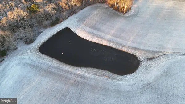 a view of a swimming pool with a yard