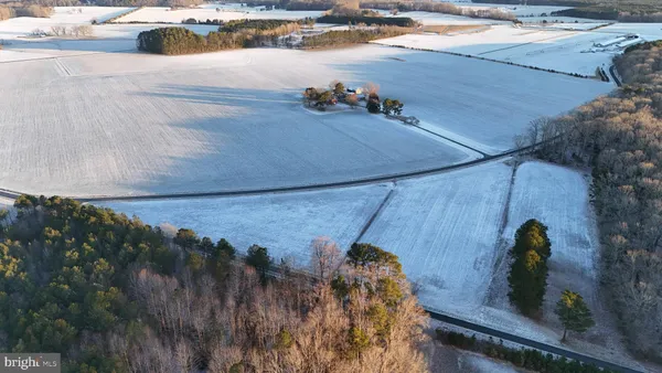 a front view of house with yard and trees in the background