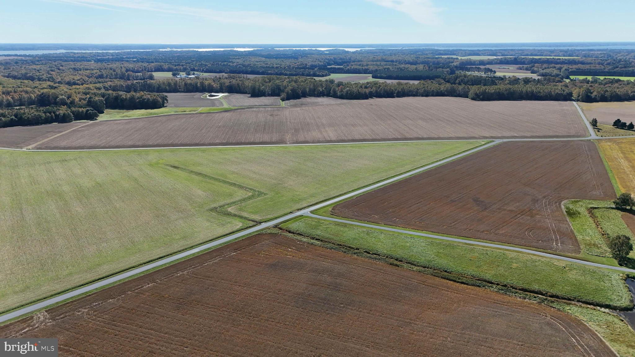 3750 Windy Hill Road Trappe, MD 21673 - Photo 9 of 55