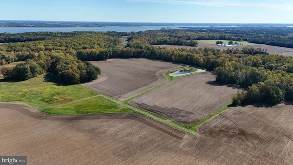 a view of an ocean and beach