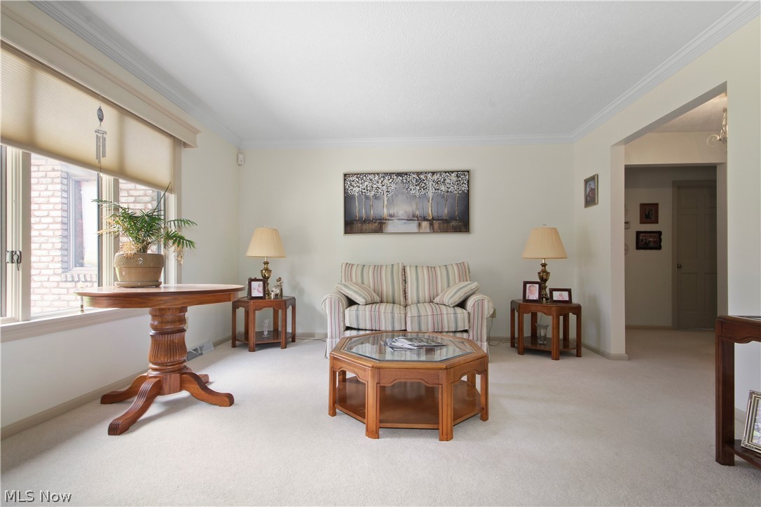 6780 Leffingwell Road Canfield, OH 44406 - Photo 20 of 35 Gallery Image 20