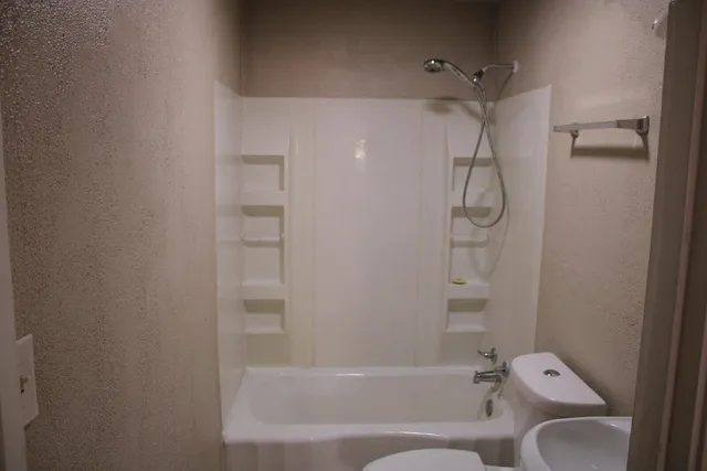 a bathroom with a shower and a toilet