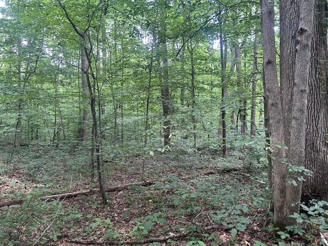 24229 Sanes Creek Road Laurel, IN 47024 - Photo 32 of 54