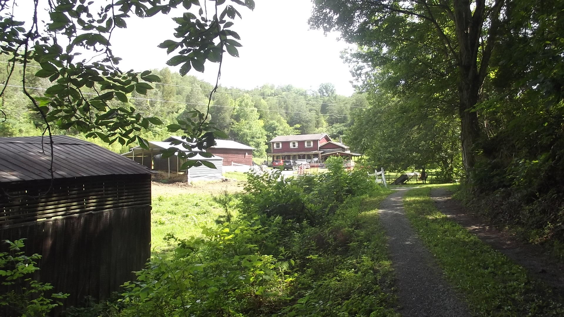 366 Shortt Road Bulls Gap, TN 37711 - Photo 1 of 30 Homesteader's Dream