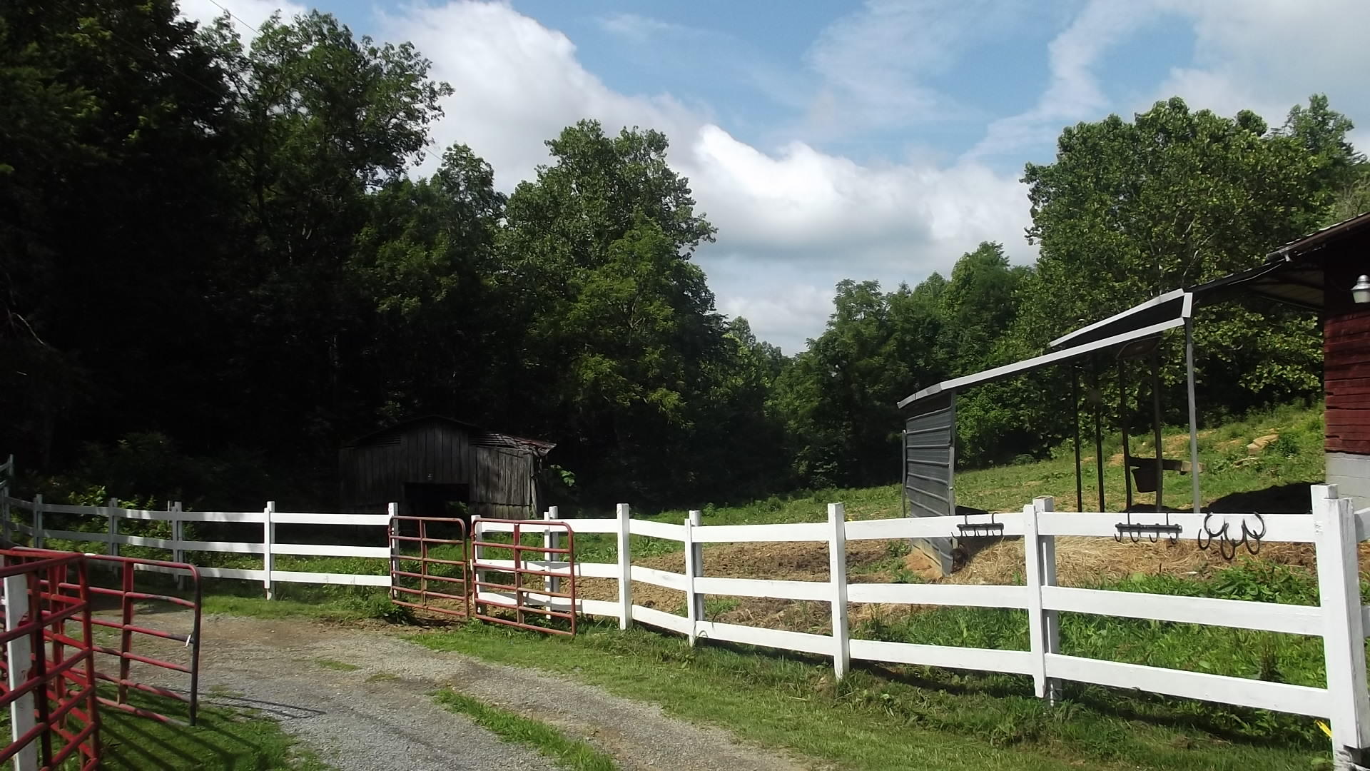 366 Shortt Road Bulls Gap, TN 37711 - Photo 24 of 30 pasture 1