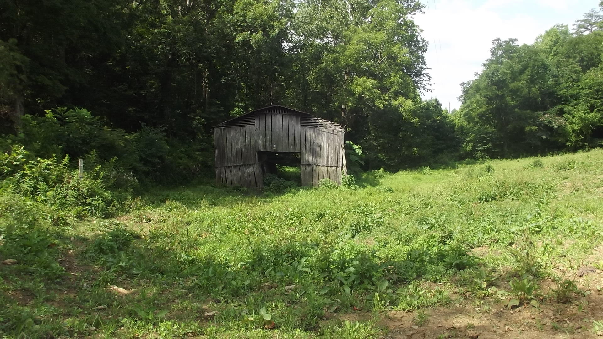 366 Shortt Road Bulls Gap, TN 37711 - Photo 25 of 30 1800's peg barn