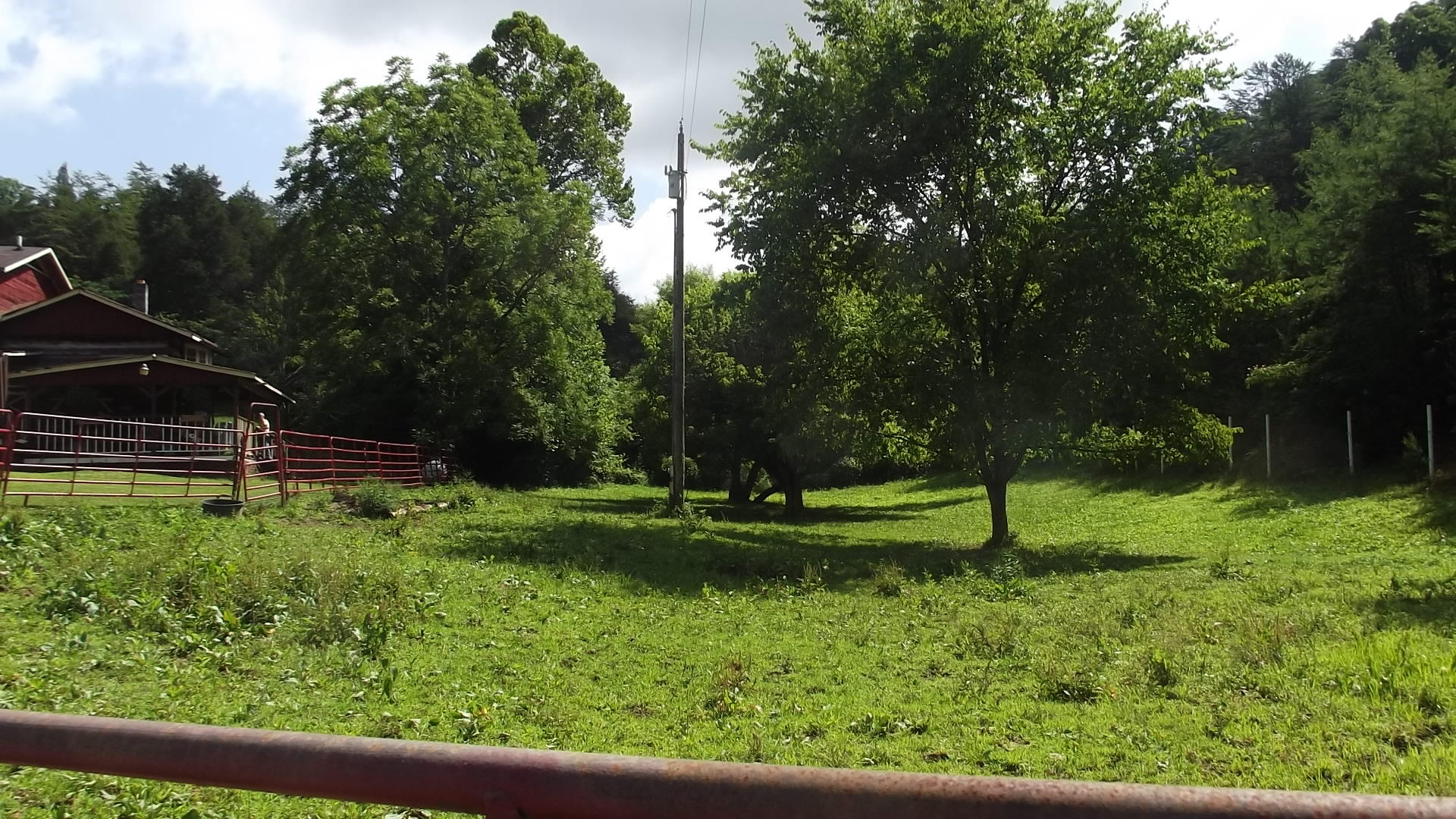 366 Shortt Road Bulls Gap, TN 37711 - Photo 28 of 30 pasture 2