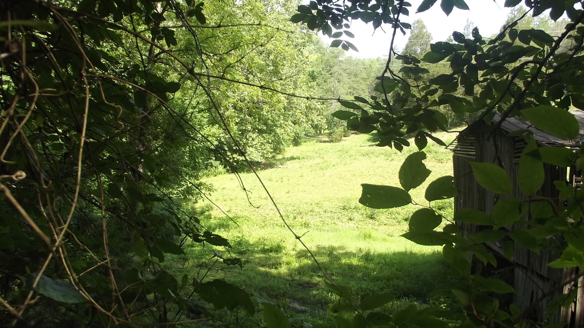 366 Shortt Road Bulls Gap, TN 37711 - Photo 29 of 30 pasture 1