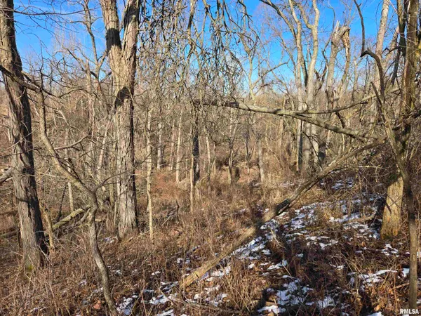 $724,500 | 2460 North County Road 2500 Road, La Harpe, IL 61450