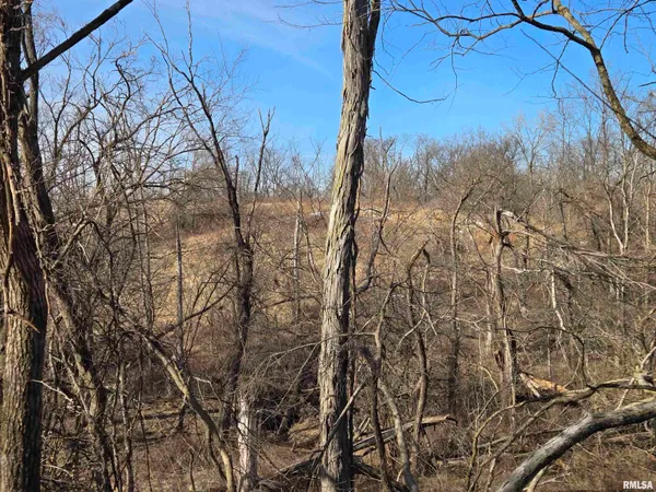 $724,500 | 2460 North County Road 2500 Road, La Harpe, IL 61450