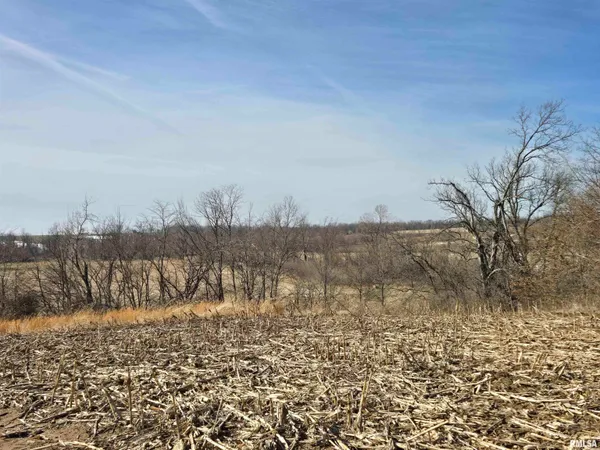 $724,500 | 2460 North County Road 2500 Road, La Harpe, IL 61450