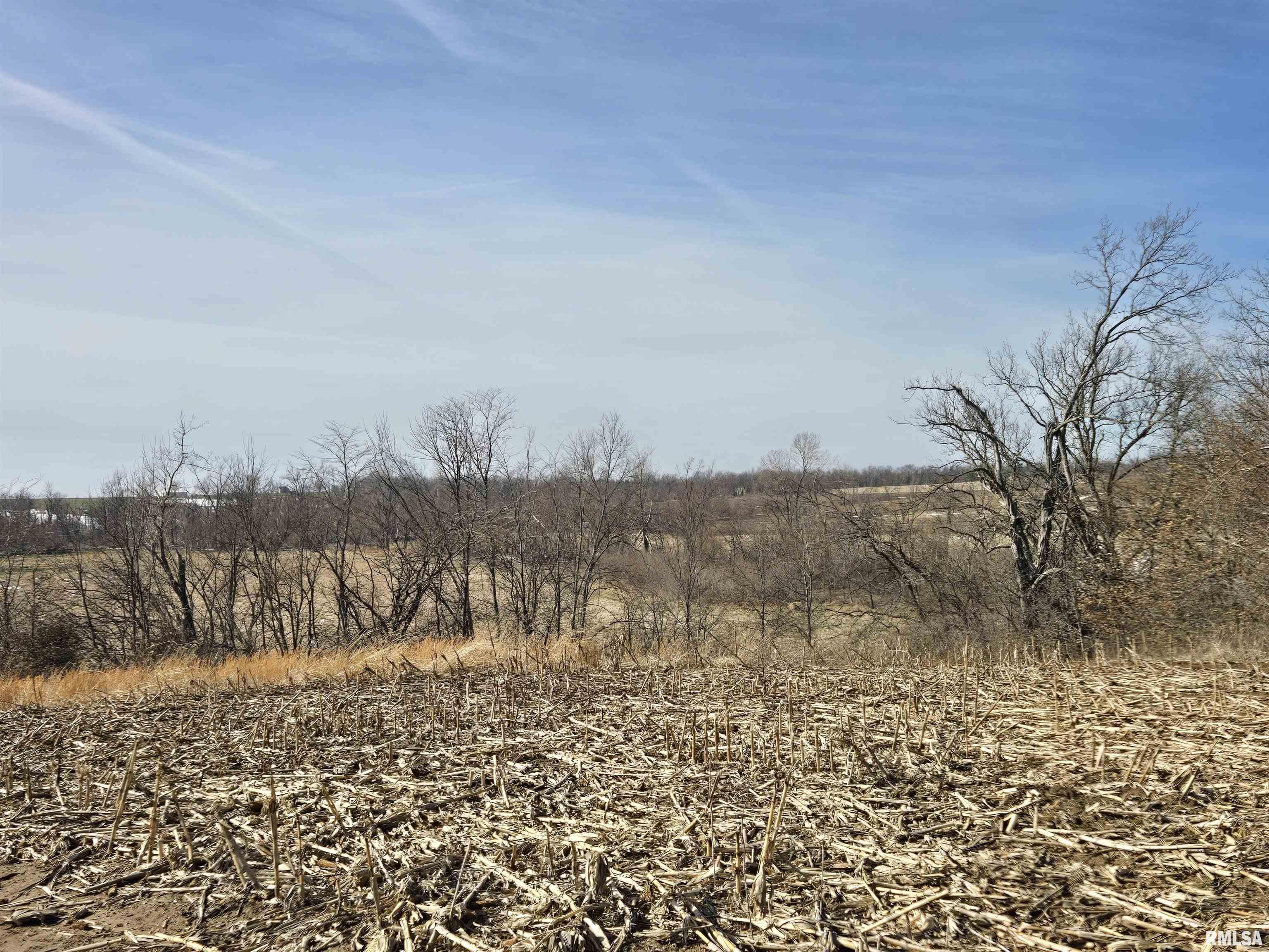 2460 North County Road 2500 Road La Harpe, IL 61450 - Photo 13 of 37