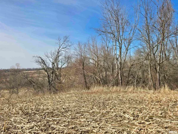 $724,500 | 2460 North County Road 2500 Road, La Harpe, IL 61450