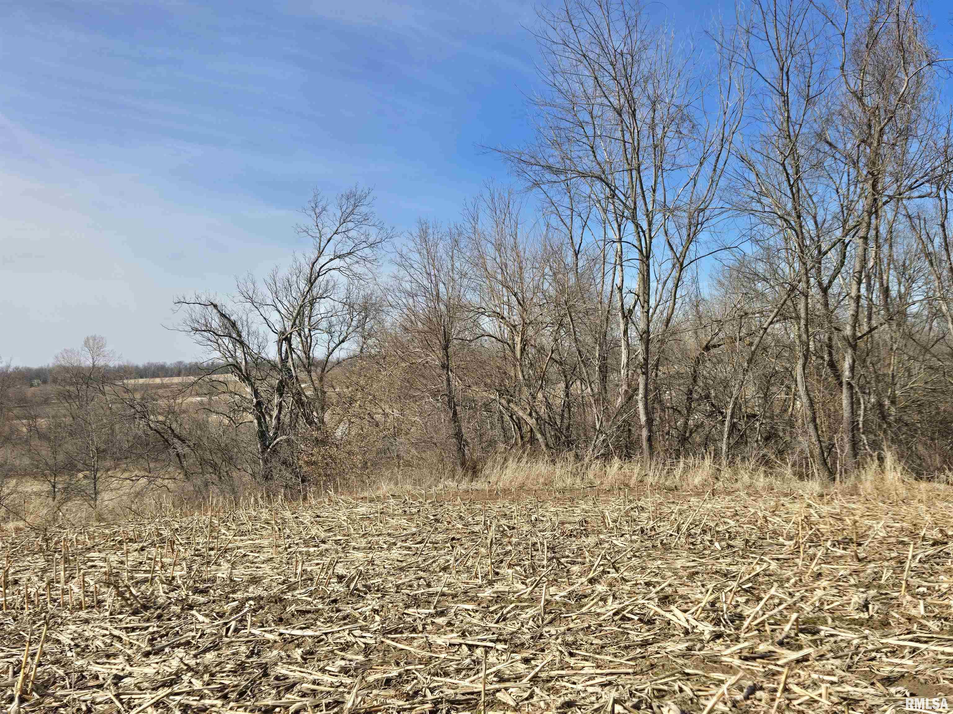 2460 North County Road 2500 Road La Harpe, IL 61450 - Photo 14 of 37