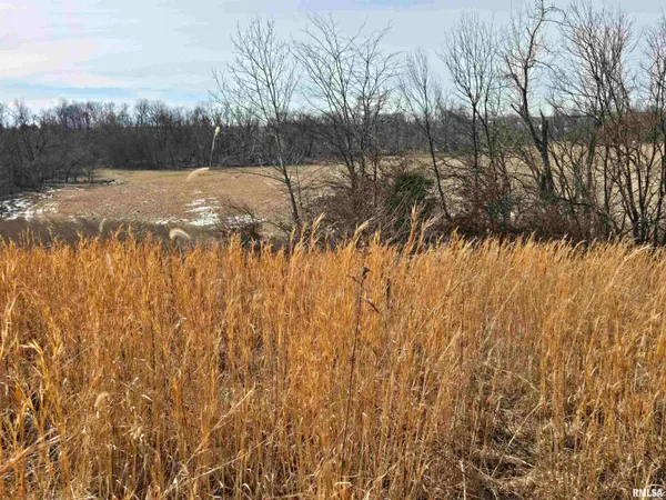 $724,500 | 2460 North County Road 2500 Road, La Harpe, IL 61450