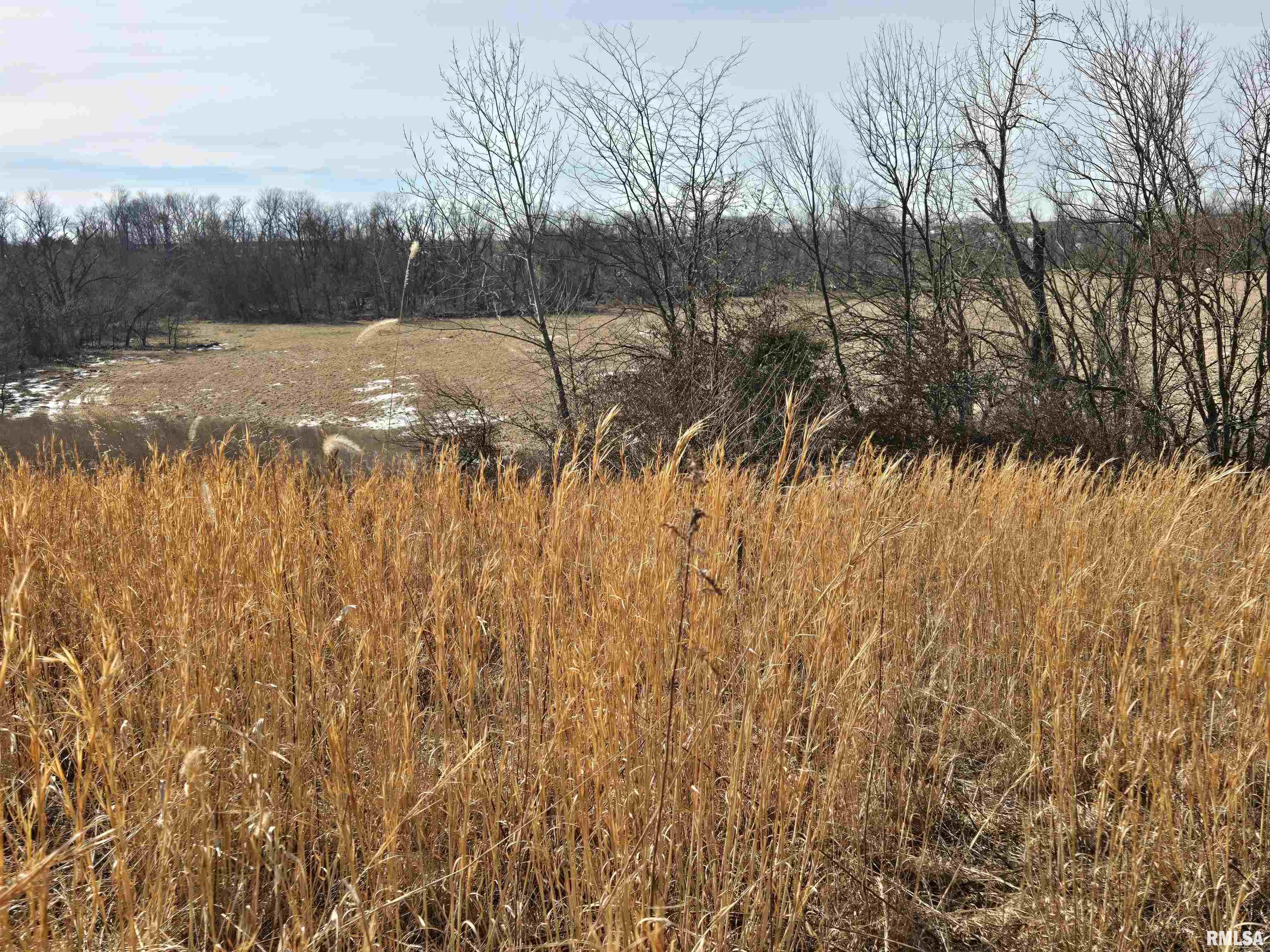 2460 North County Road 2500 Road La Harpe, IL 61450 - Photo 15 of 37