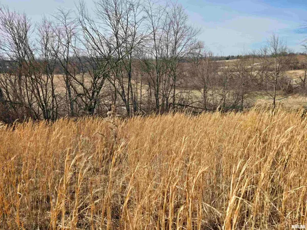 $724,500 | 2460 North County Road 2500 Road, La Harpe, IL 61450