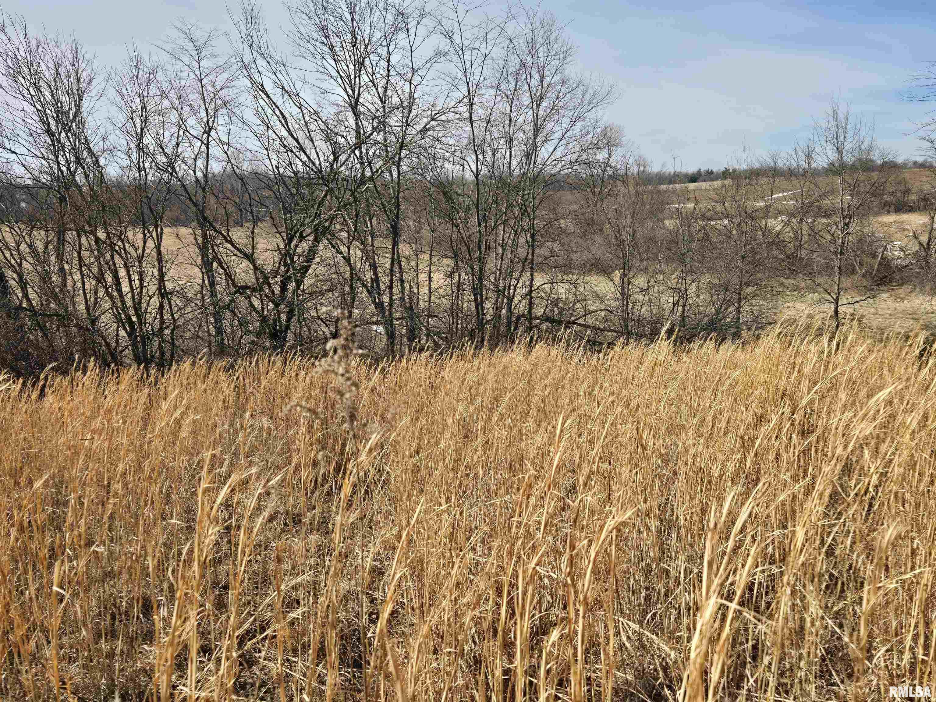 2460 North County Road 2500 Road La Harpe, IL 61450 - Photo 16 of 37