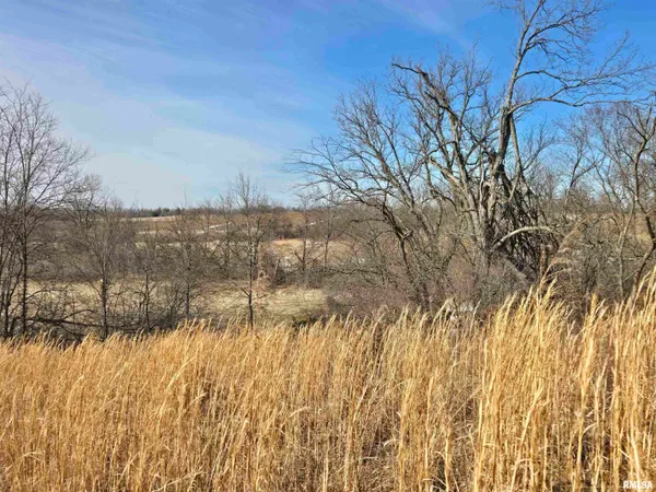 $724,500 | 2460 North County Road 2500 Road, La Harpe, IL 61450