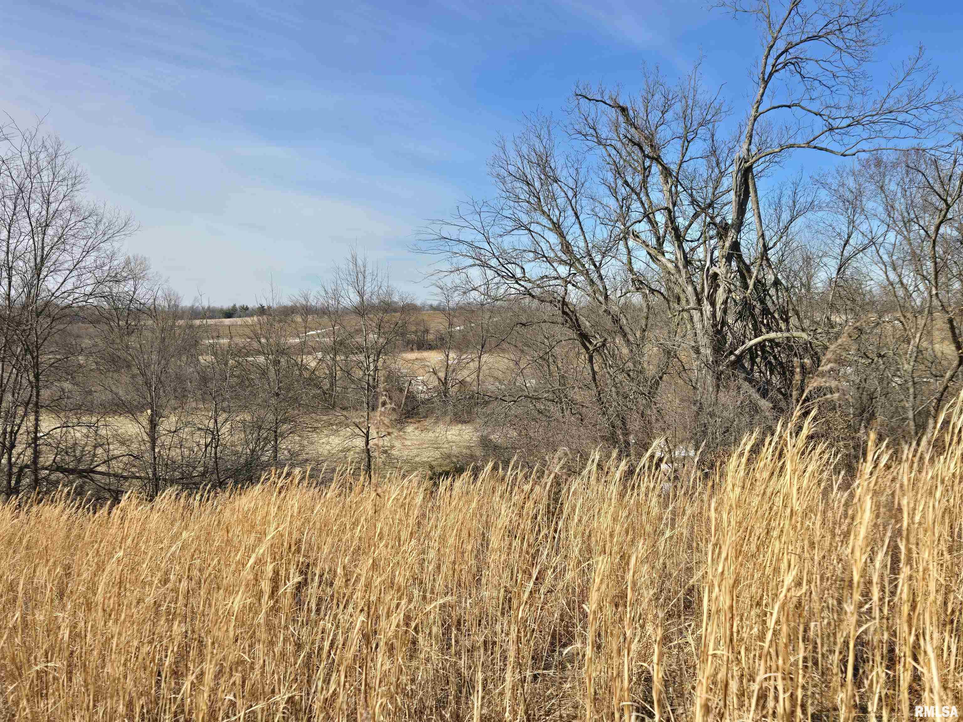 2460 North County Road 2500 Road La Harpe, IL 61450 - Photo 17 of 37