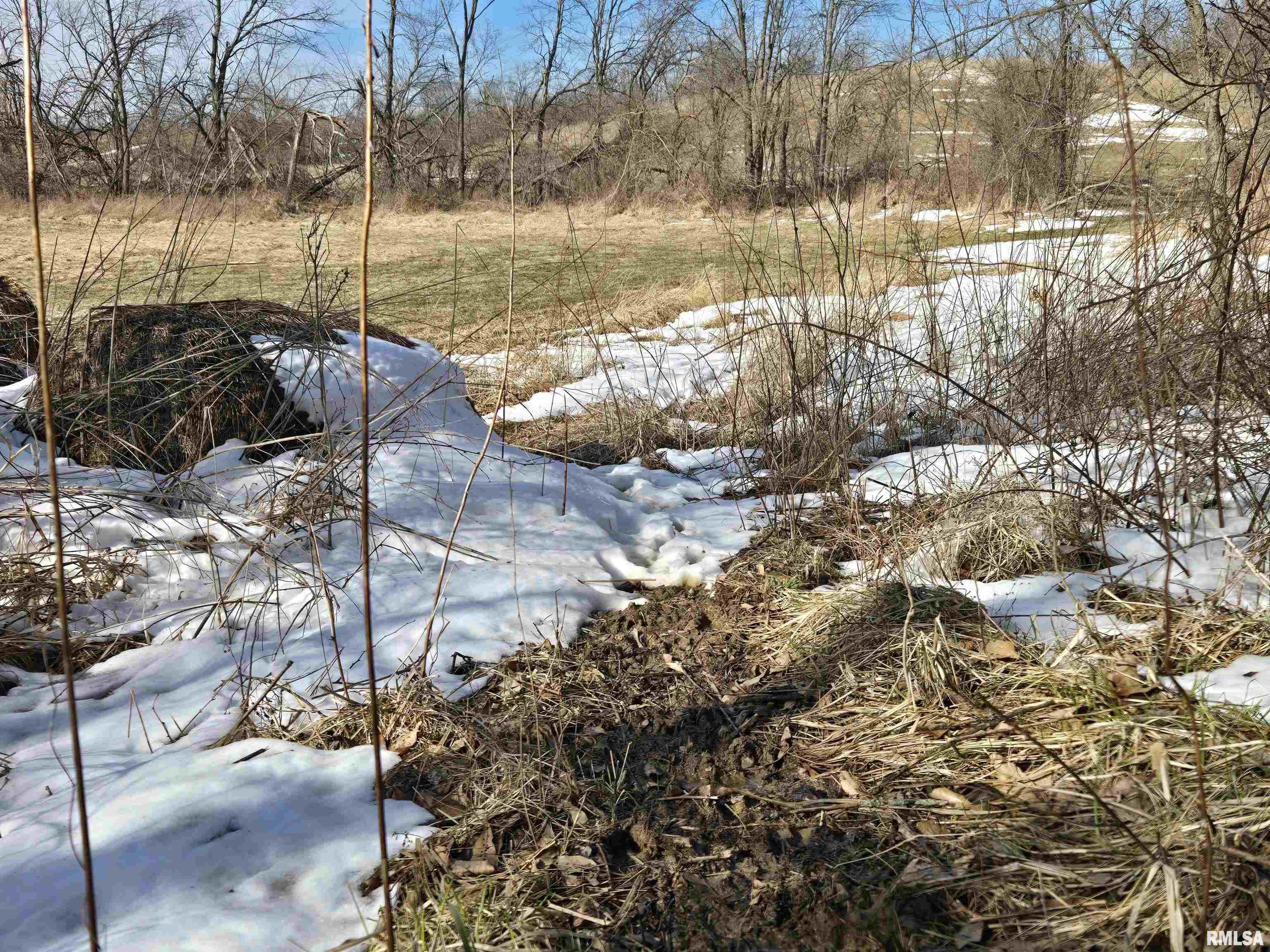 2460 North County Road 2500 Road La Harpe, IL 61450 - Photo 19 of 37