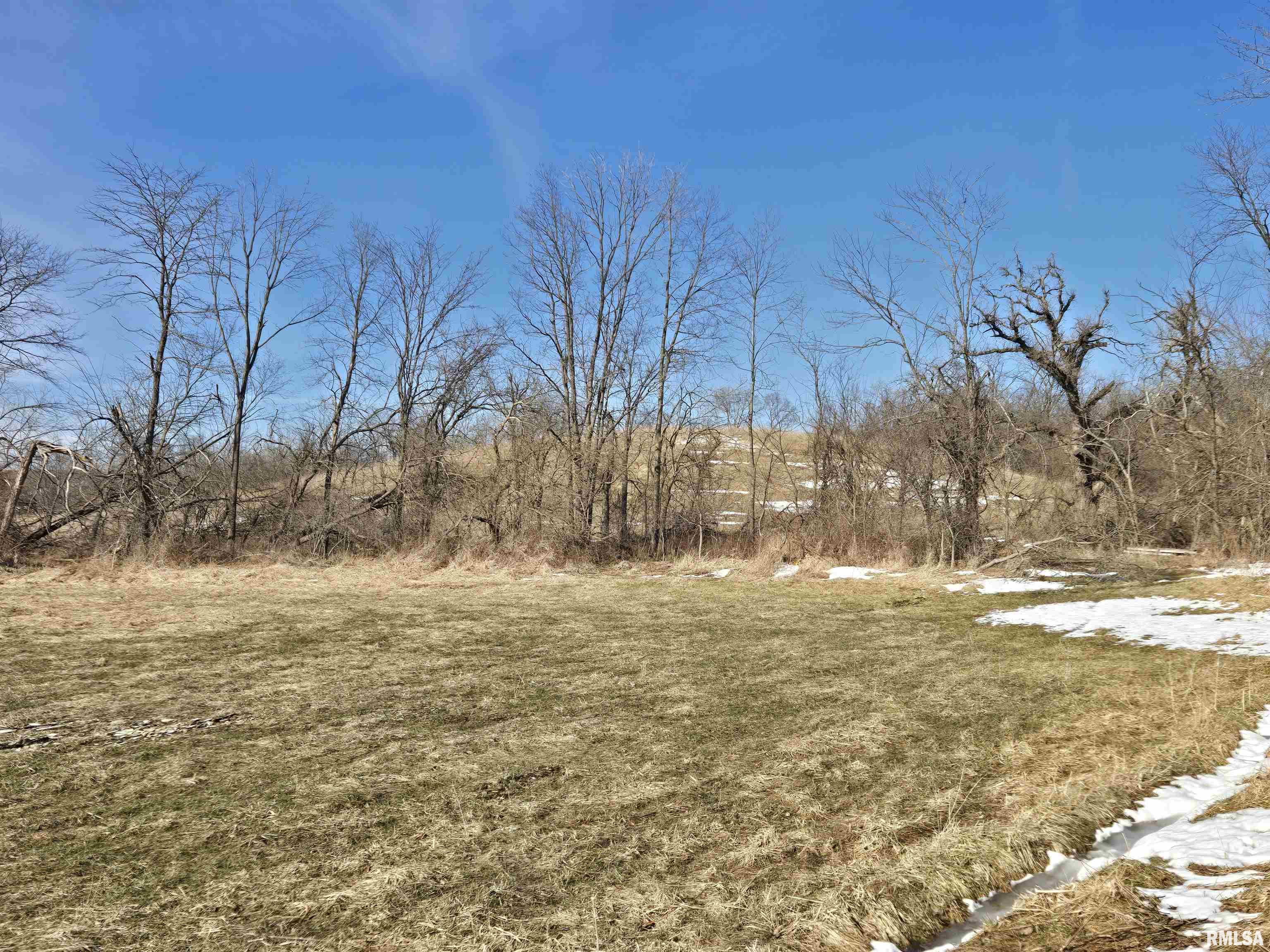 2460 North County Road 2500 Road La Harpe, IL 61450 - Photo 26 of 37