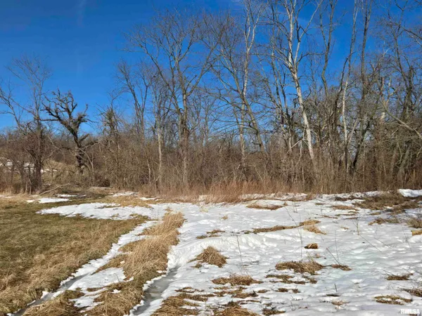 $724,500 | 2460 North County Road 2500 Road, La Harpe, IL 61450