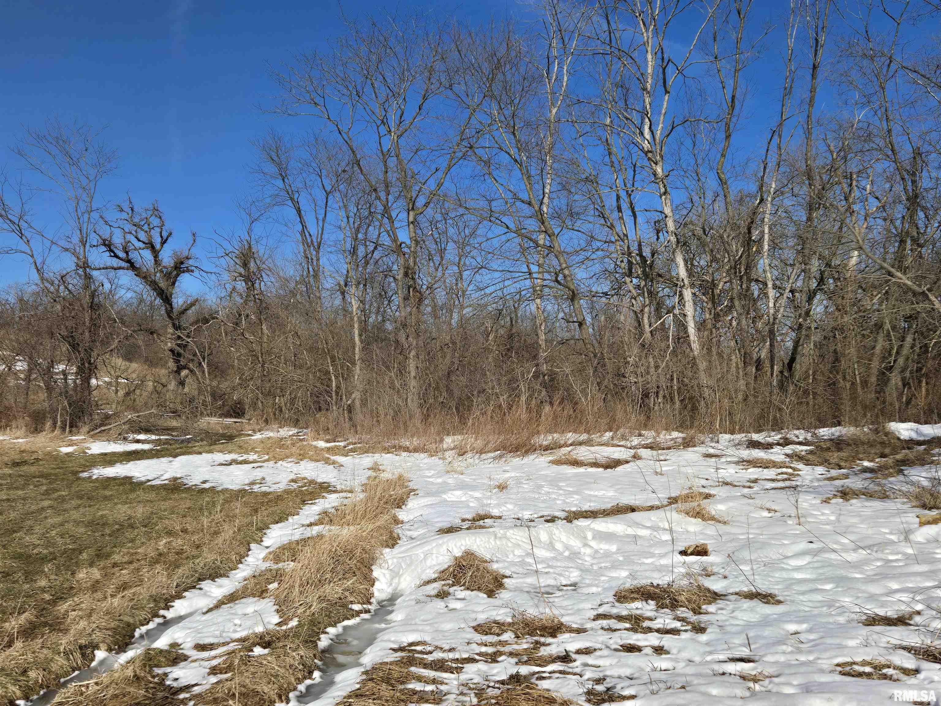 2460 North County Road 2500 Road La Harpe, IL 61450 - Photo 27 of 37