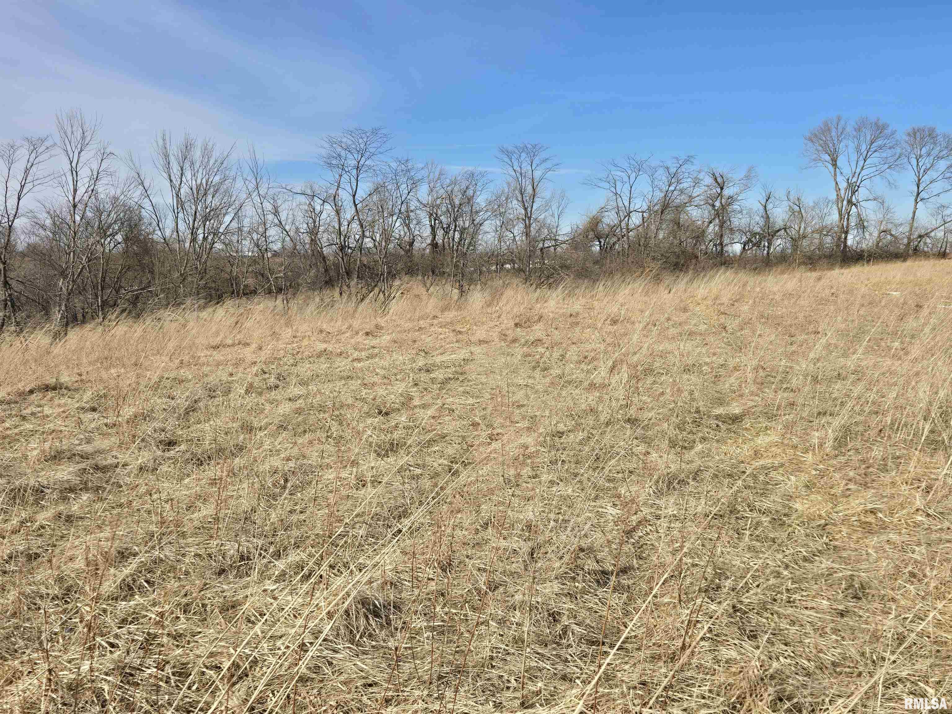 2460 North County Road 2500 Road La Harpe, IL 61450 - Photo 32 of 37