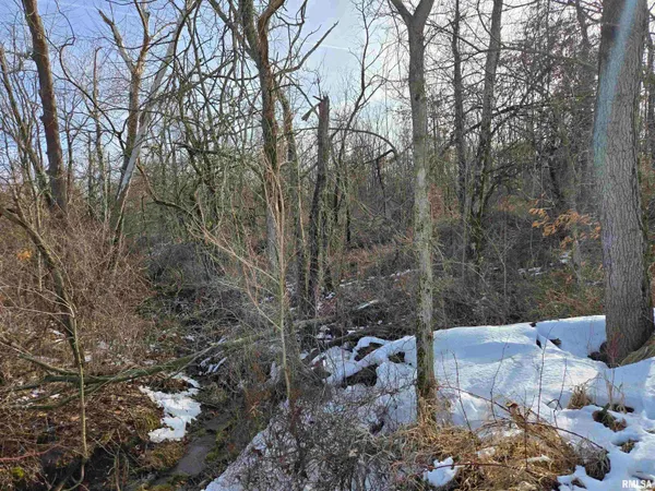 $724,500 | 2460 North County Road 2500 Road, La Harpe, IL 61450