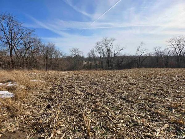 $724,500 | 2460 North County Road 2500 Road, La Harpe, IL 61450