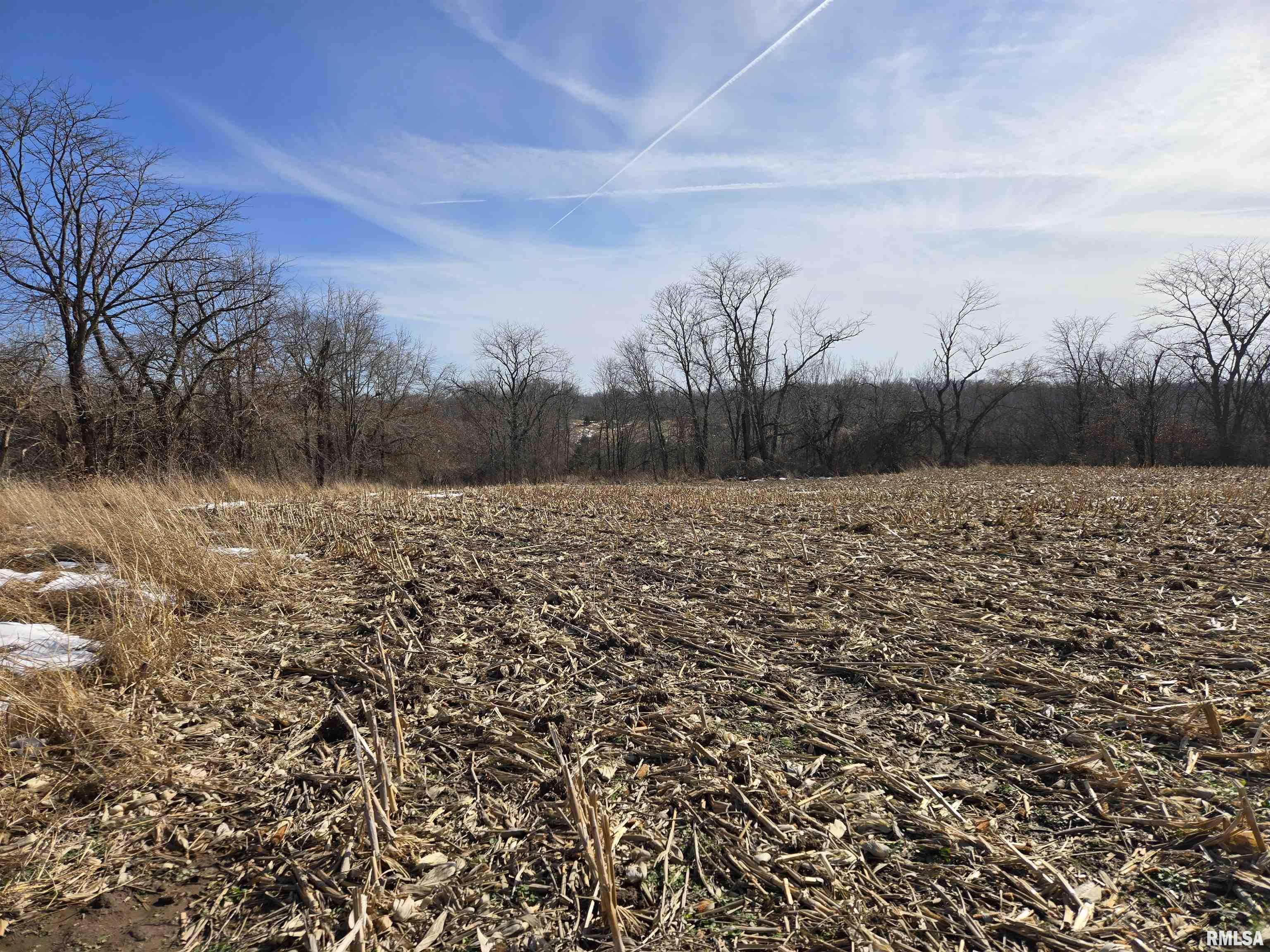 2460 North County Road 2500 Road La Harpe, IL 61450 - Photo 4 of 37