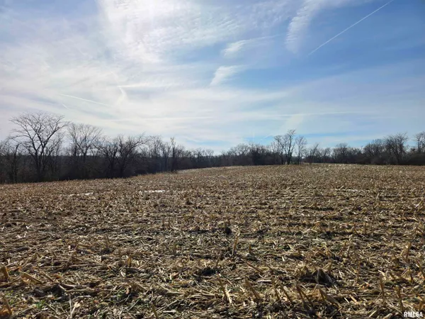 $724,500 | 2460 North County Road 2500 Road, La Harpe, IL 61450