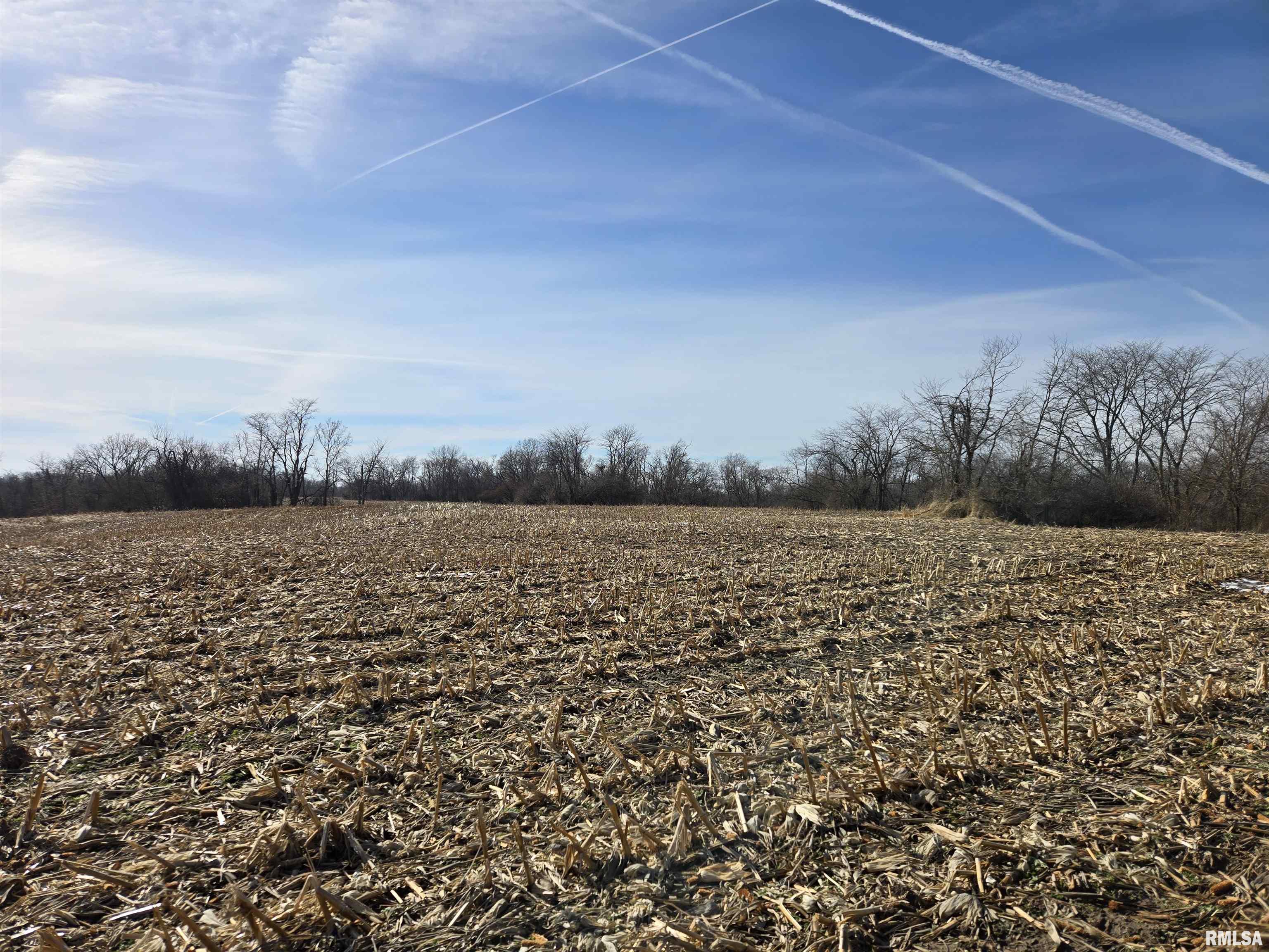 2460 North County Road 2500 Road La Harpe, IL 61450 - Photo 6 of 37