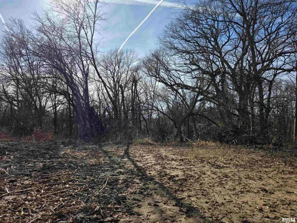 $724,500 | 2460 North County Road 2500 Road, La Harpe, IL 61450