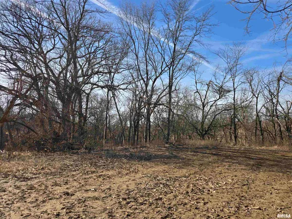 $724,500 | 2460 North County Road 2500 Road, La Harpe, IL 61450