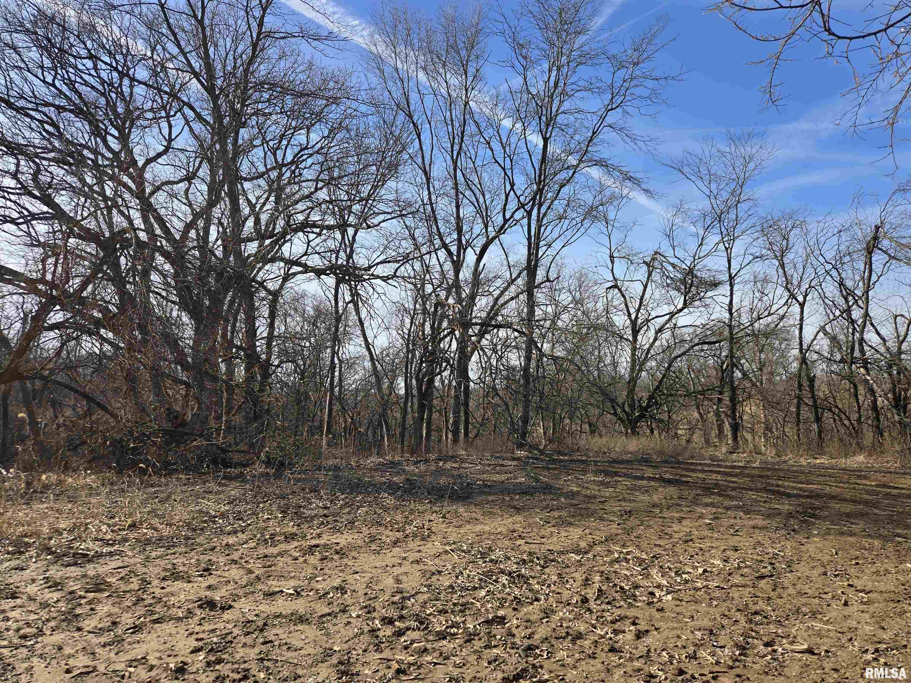 2460 North County Road 2500 Road La Harpe, IL 61450 - Photo 8 of 37
