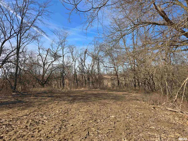 $724,500 | 2460 North County Road 2500 Road, La Harpe, IL 61450