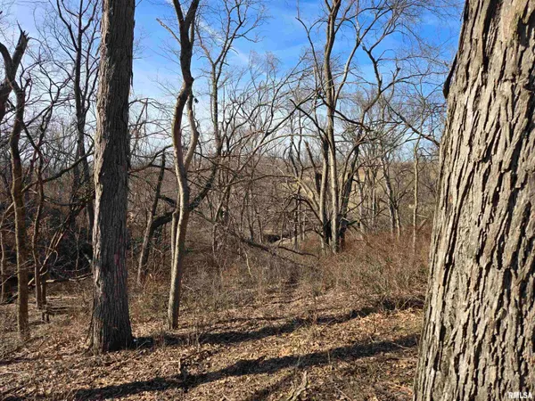 $724,500 | 2460 North County Road 2500 Road, La Harpe, IL 61450