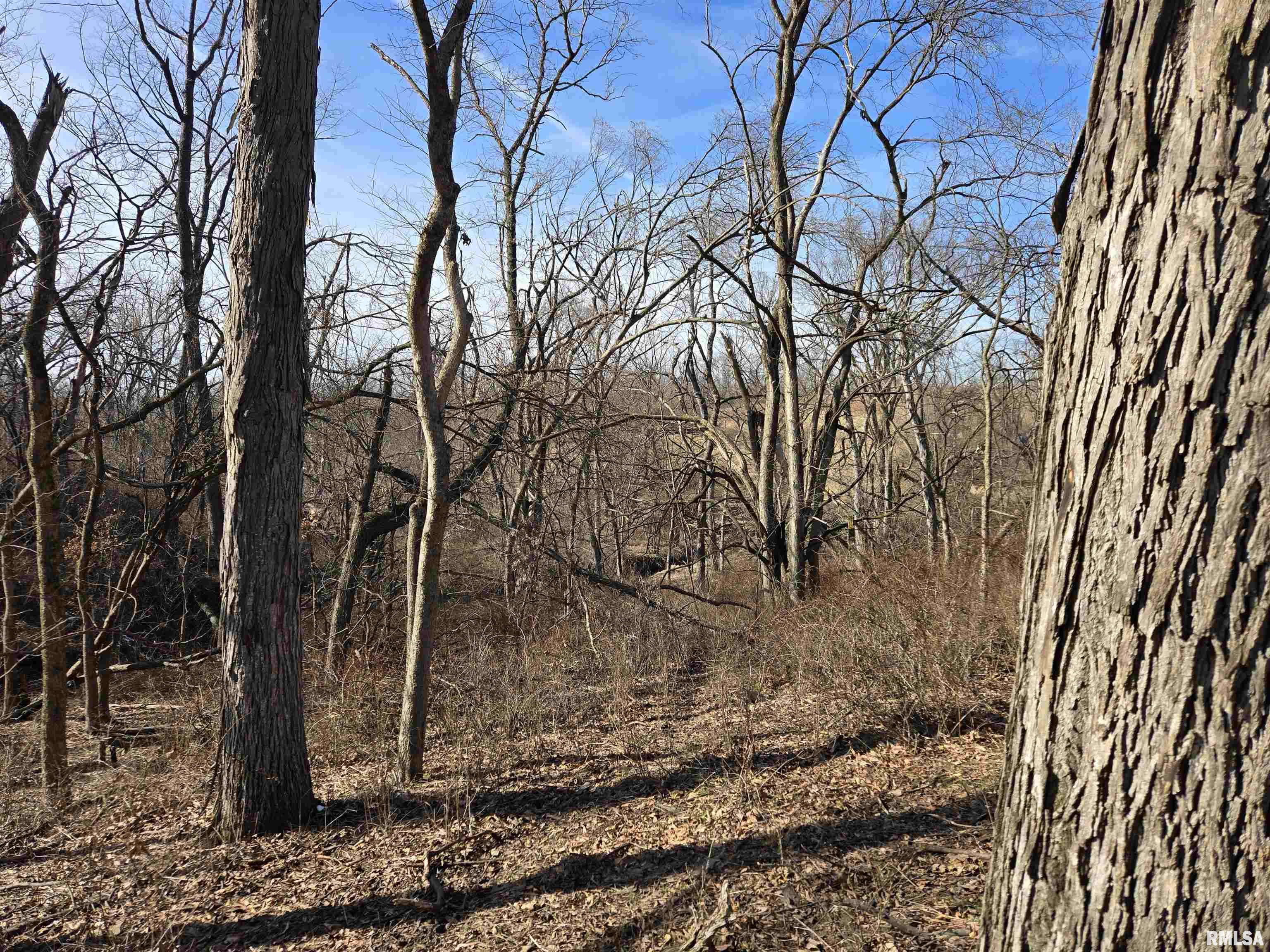 2460 North County Road 2500 Road La Harpe, IL 61450 - Photo 10 of 37