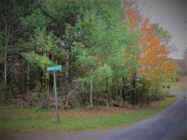 88 Whipperwill Hill Road Gap Mills, WV 24941 - Photo 48 of 68 Gallery Image 48