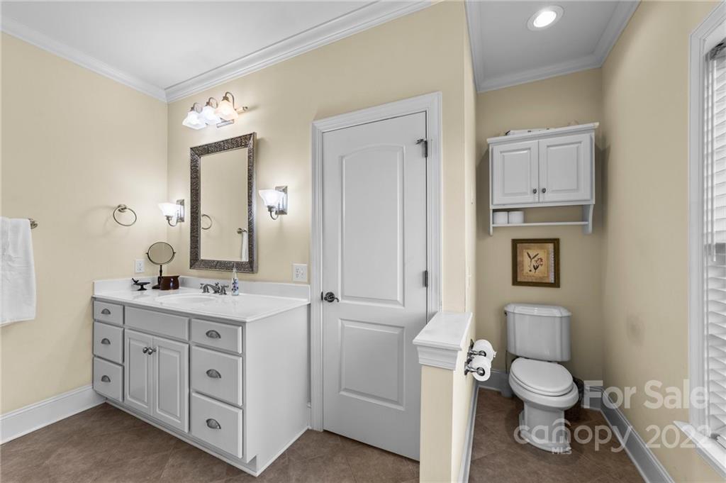 356 Greenhill Road Mocksville, NC 27028 - Photo 45 of 46 a bathroom with a toilet a sink a vanity and mirror