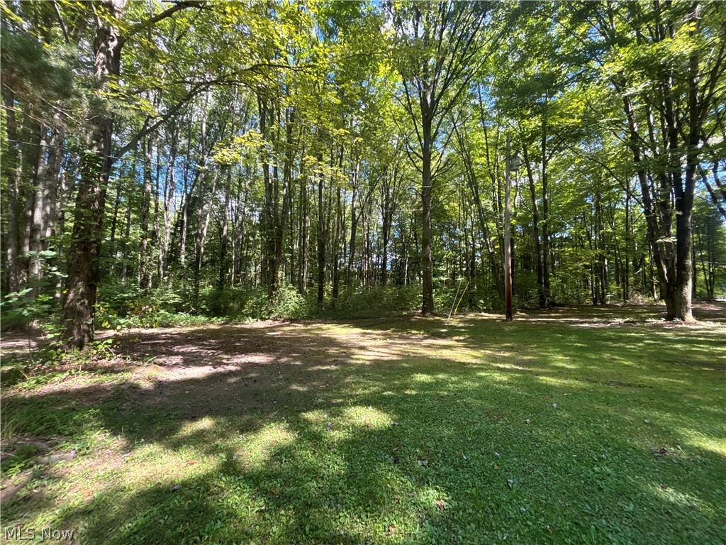 9231 Horn Road Windham, OH 44288 - Photo 44 of 44 Gallery Image 44