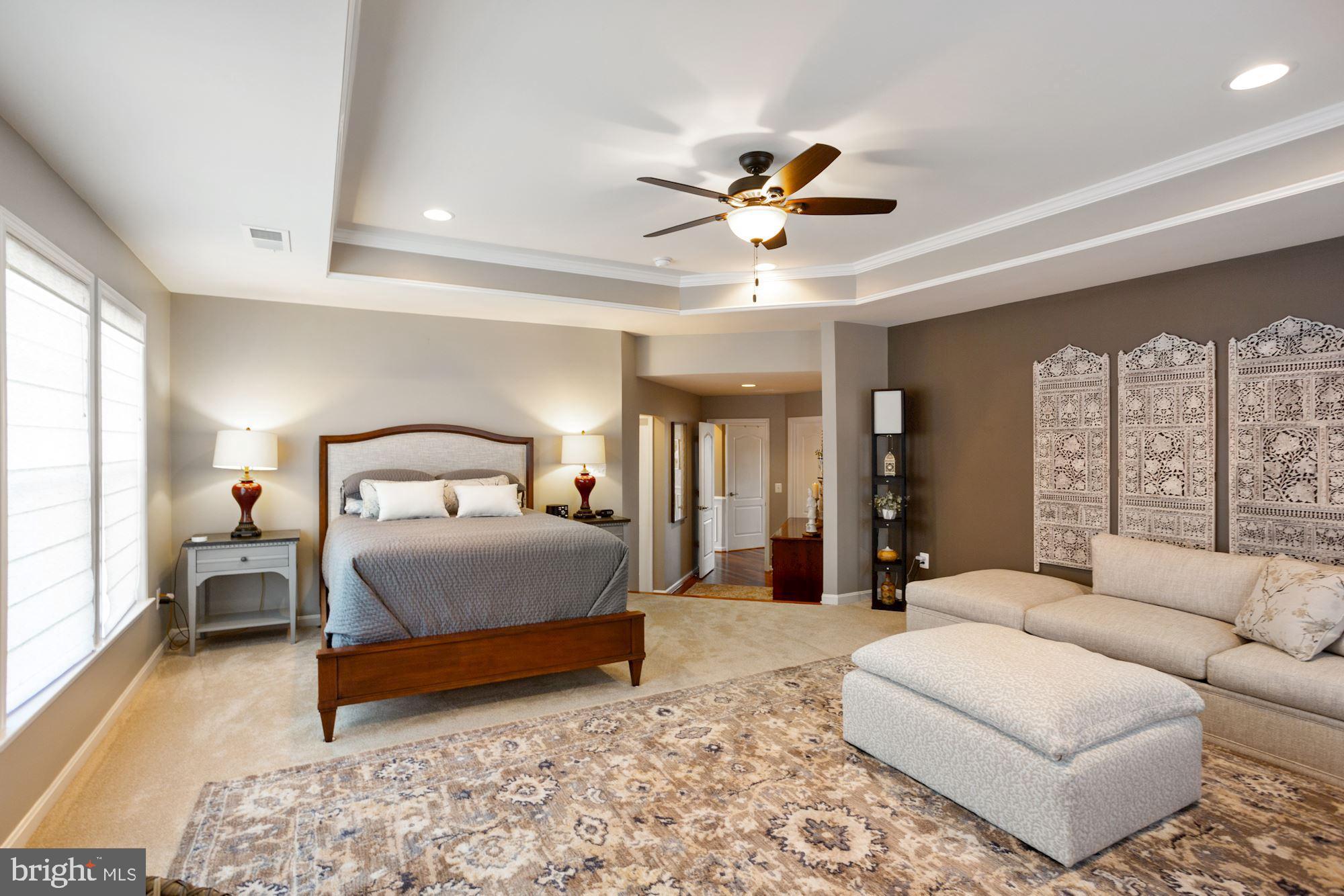 23372 Minerva Drive Brambleton, VA 20148 - Photo 28 of 52 Primary Bedroom, standout try ceiling