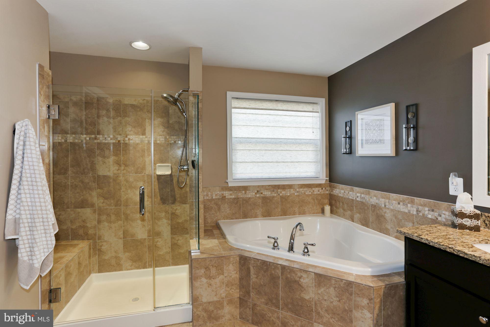 23372 Minerva Drive Brambleton, VA 20148 - Photo 31 of 52 Primary Bath