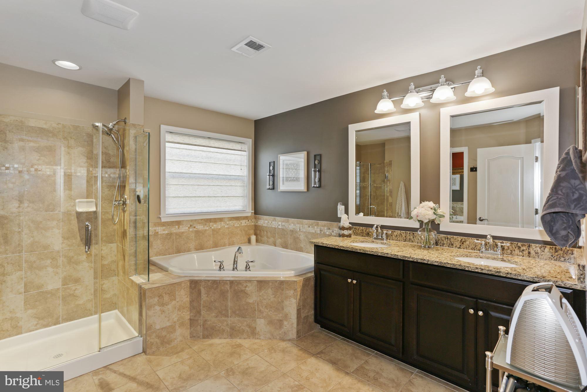 23372 Minerva Drive Brambleton, VA 20148 - Photo 32 of 52 Primary Bath