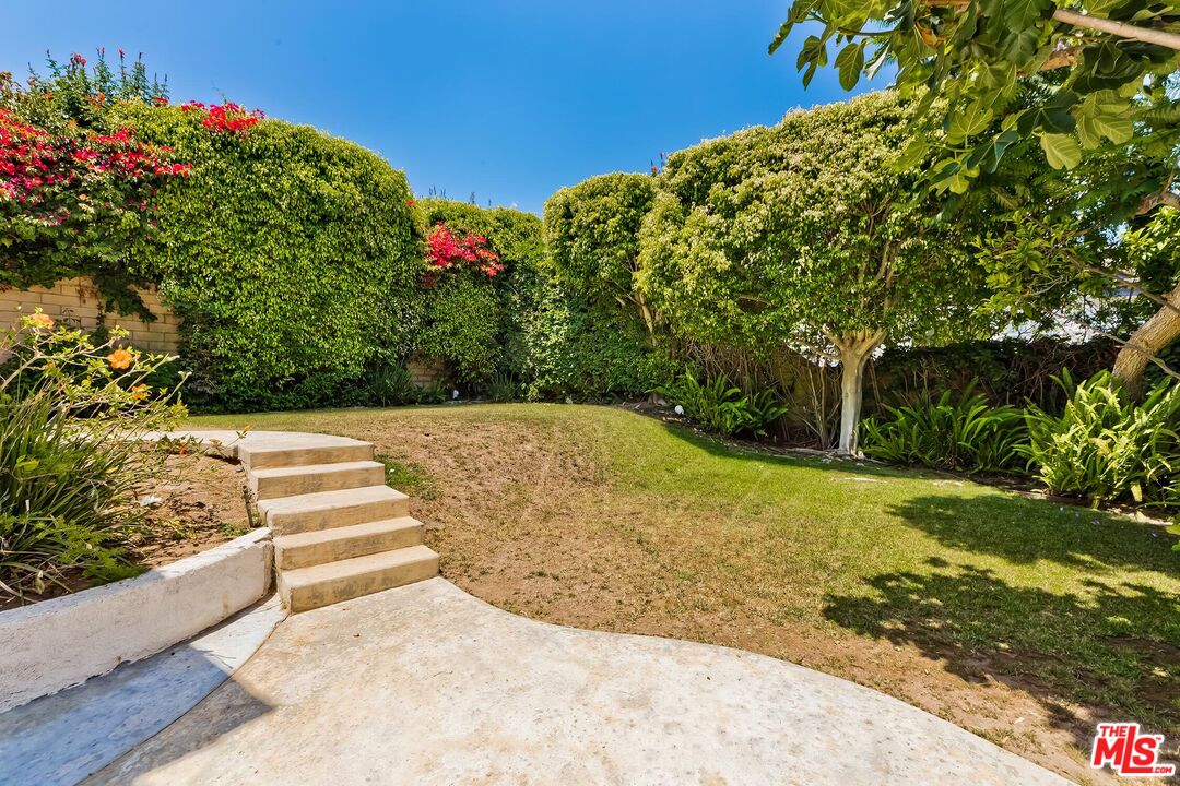 7557 West 82nd Street Playa del Rey, CA 90293 - Photo 35 of 35 a view of a yard with plants
